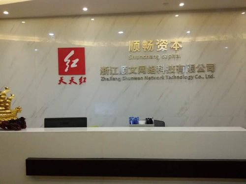 浙江顺文网络科技 网络技术的创新者与实践者